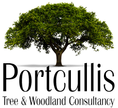 Portcullis Tree and Woodland Consultancy Portcullis Tree and Woodland Consultancy